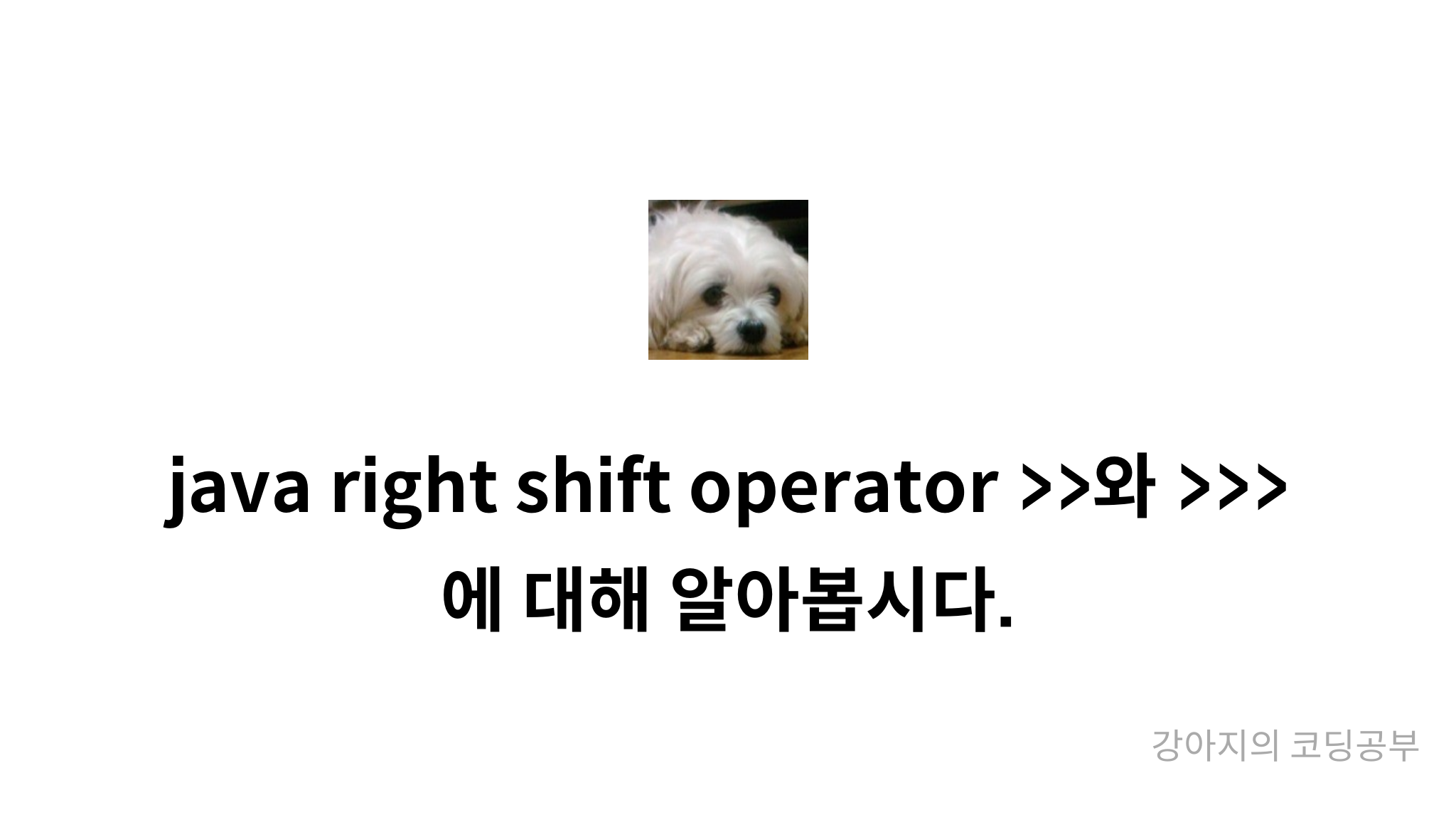 java right shift operator >>와 >>>에 대해 알아봅시다. - mysetting