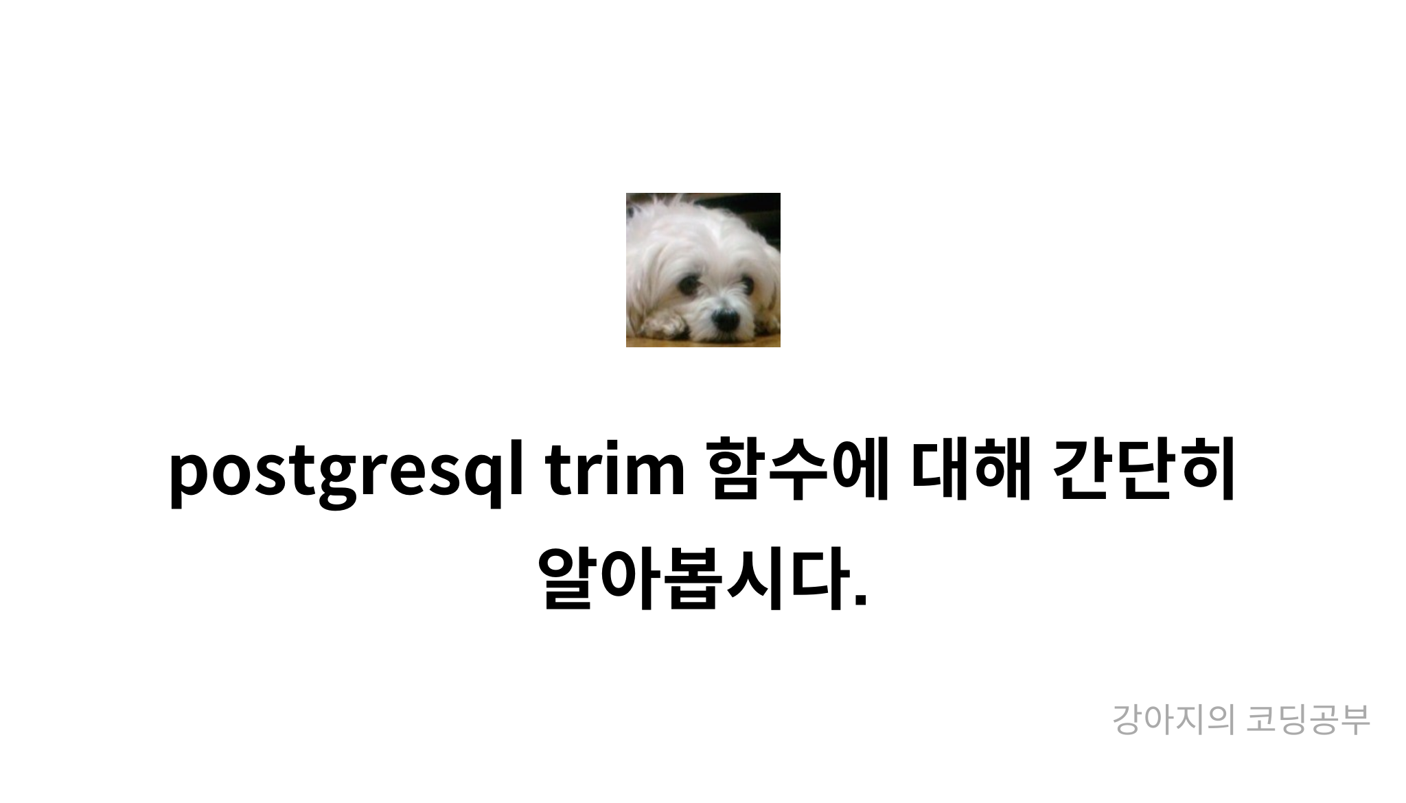 postgresql trim 함수에 대해 간단히 알아봅시다. - mysetting